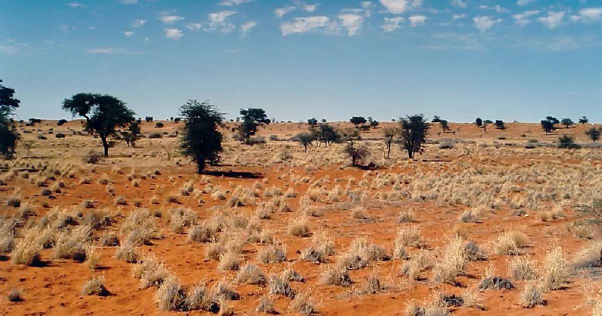  Kalahari Desert  - largest deserts in the world