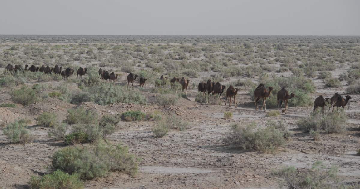 Kavir National Park - Largest National Parks in the World