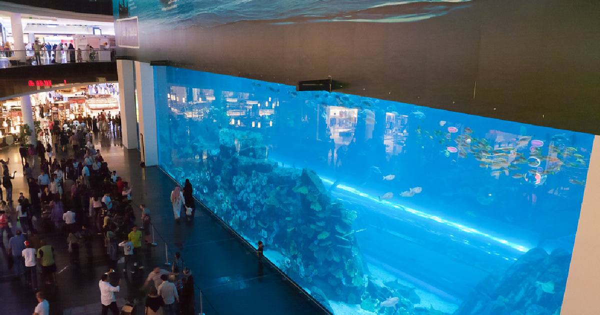 Dubai Mall Aquarium - largest aquariums in the world