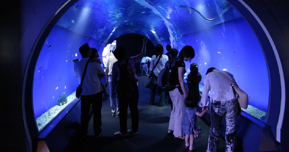 Osaka Aquarium Kaiyukan - largest aquariums in the world