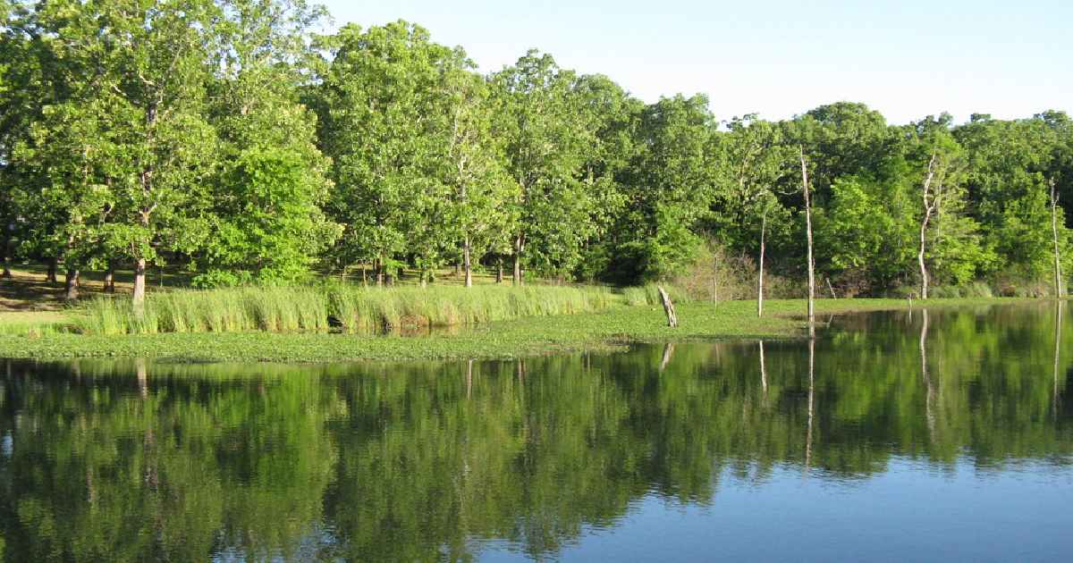 Lake Fork Reservoir - biggest lakes in texas